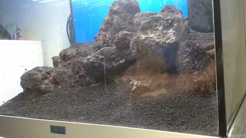 Aquarium Gesellschaftsbecken von Bestandteil (25)