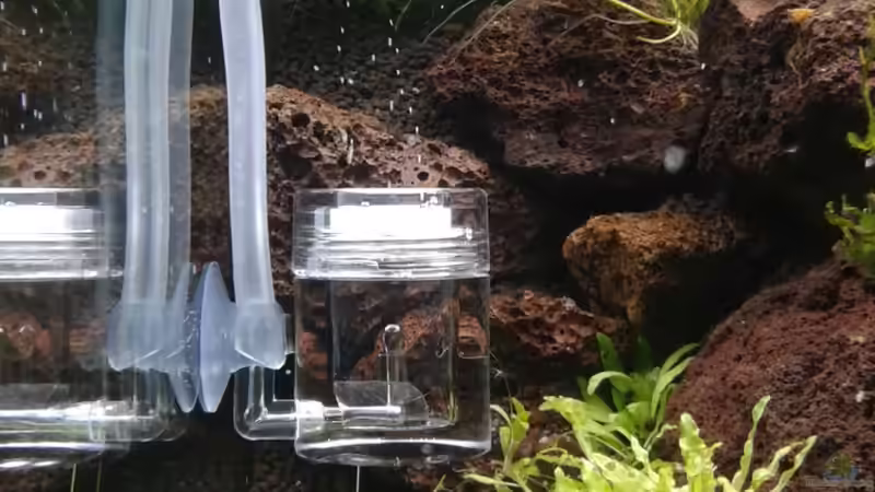 Aquarium Gesellschaftsbecken von Bestandteil (34)