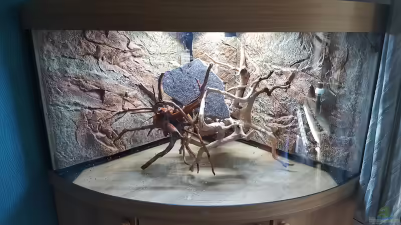 Aquarium Gesellschaftsbecken von Sprutz1973 (2)