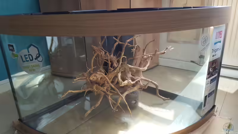 Aquarium Gesellschaftsbecken von Sprutz1973 (4)