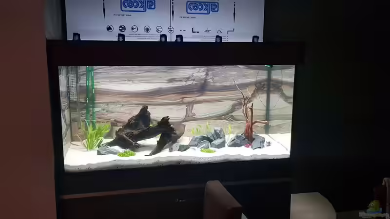 Aquarium Gewässer um Sarayaku von Marcel Raack (4)