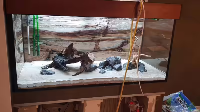 Aquarium Gewässer um Sarayaku von Marcel Raack (5)