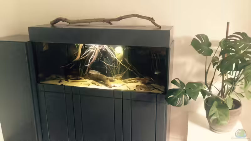 Aquarium Gibt es nicht mehr. von Dominik Wexenberger (14)