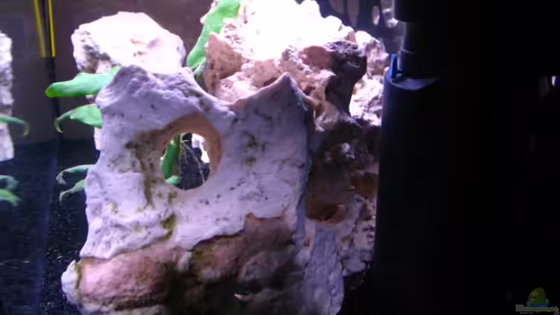 Aquarium Gladsheim von T H O R (5)