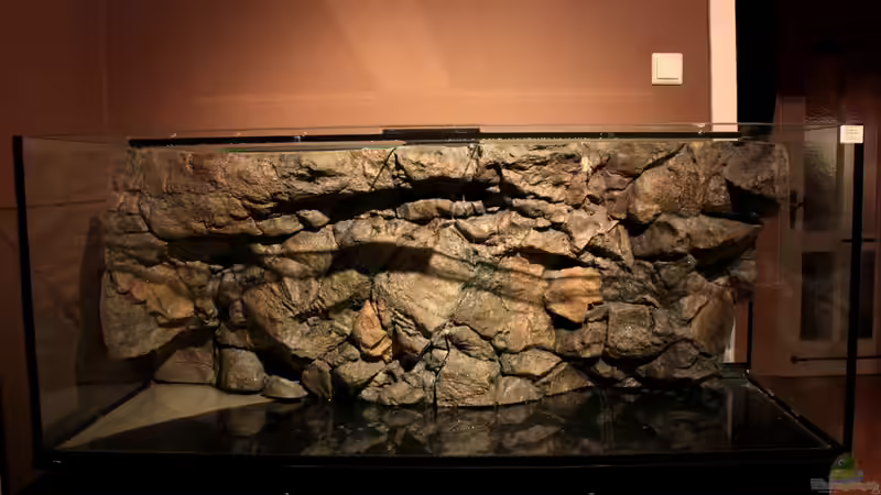 Aquarium Great Lake Tanganjika von Koehler (2)