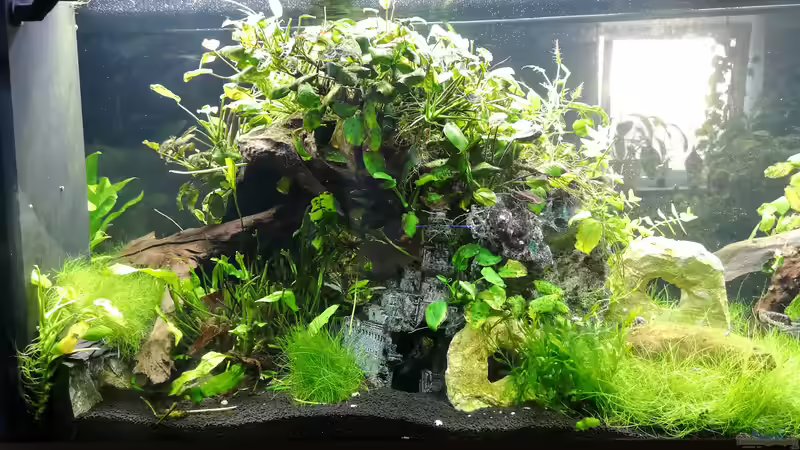 Aquarium Green Caves von Radi87 (3)