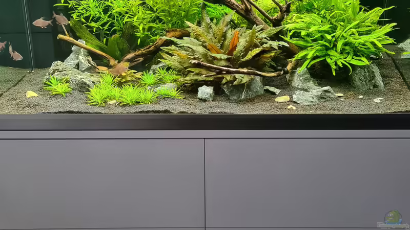 Aquarium Green Island von domnk (2)