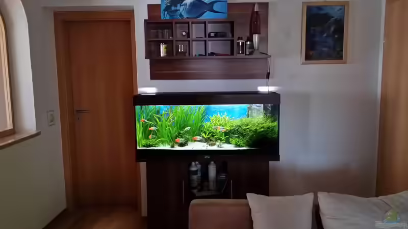 Aquarium green sansibar von <--- sebi ---> (12)
