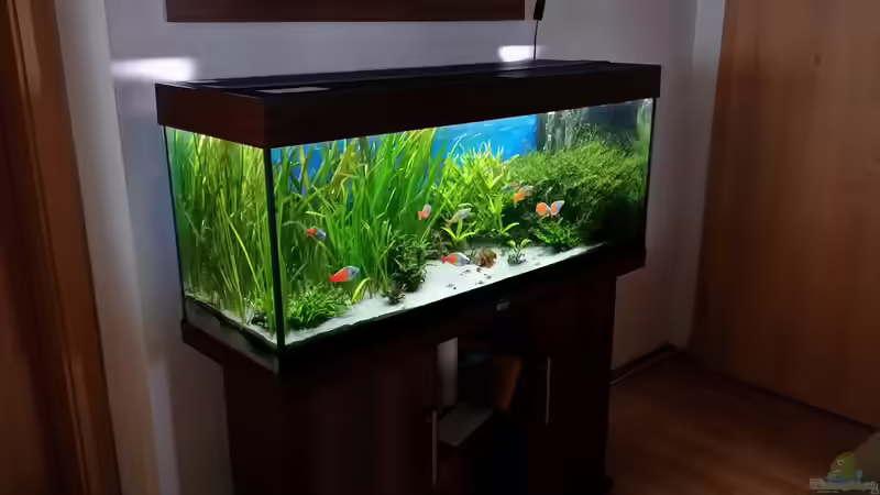 Aquarium green sansibar von <--- sebi ---> (13)