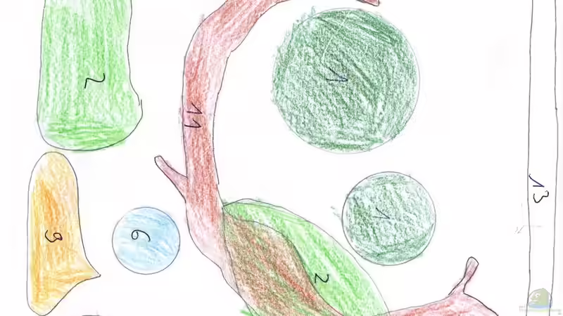 Aquarium Greenscaping first one von Scaper (2)