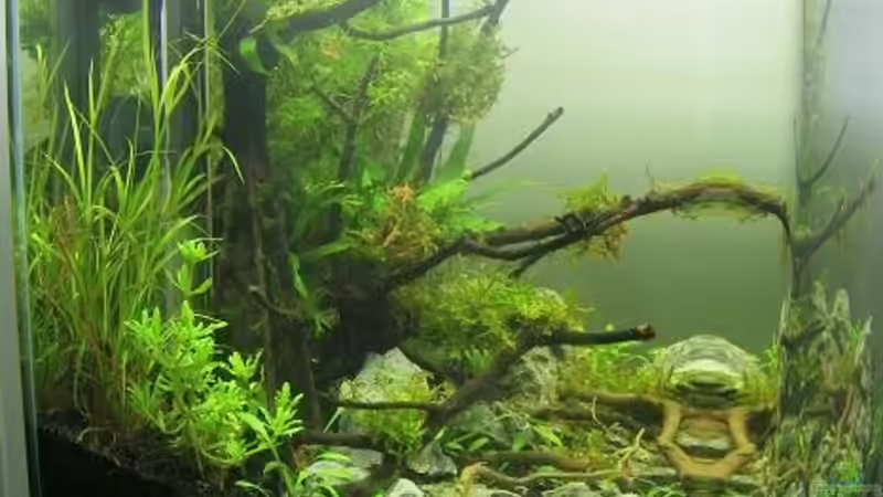 Aquarium GreenWave von Mario Pich (2)