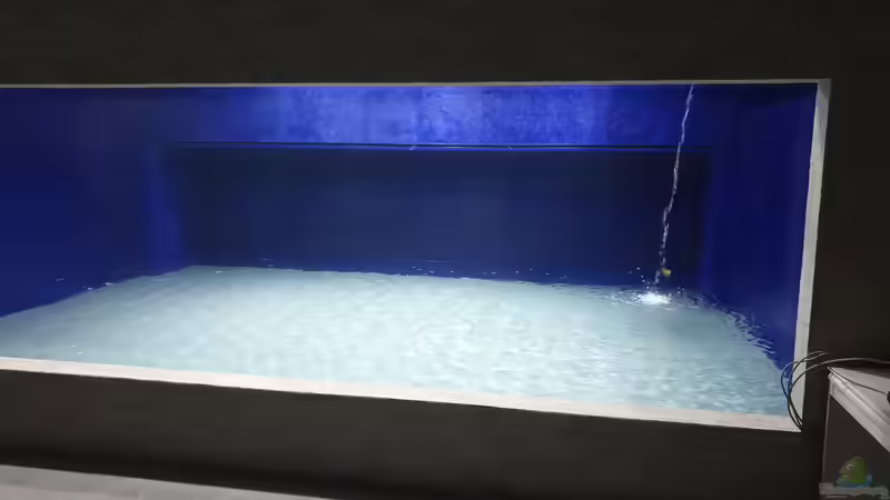 Aquarium Großaquarium in Bayern von Fido86 (2)