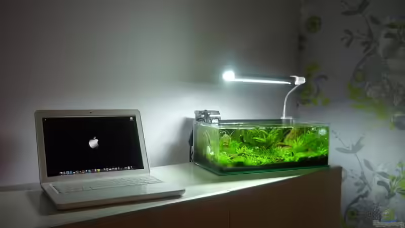 Aquarium Grüne Hügel von Chris_R. (7)