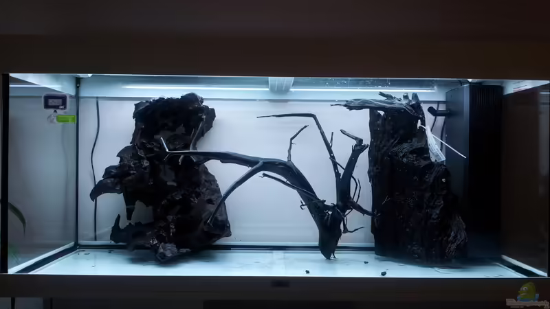 Aquarium Grüner Dschungel von Liquid (2)