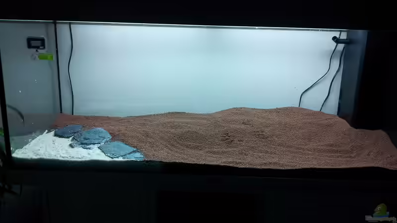 Aquarium Grüner Dschungel von Liquid (3)