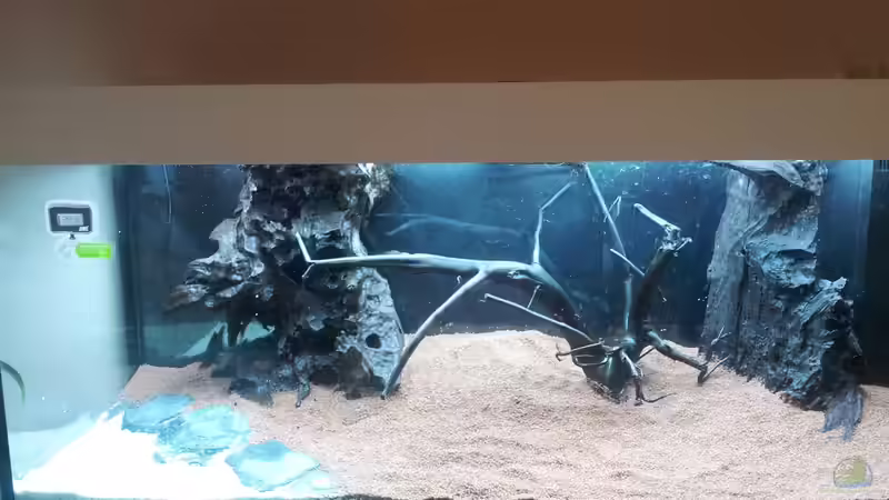 Aquarium Grüner Dschungel von Liquid (4)