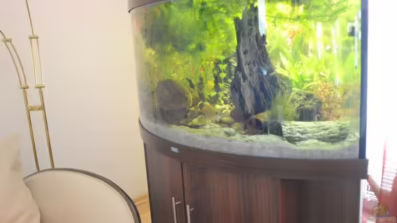 Aquarium Grünes Juwel von Peter Vlasaty (4)