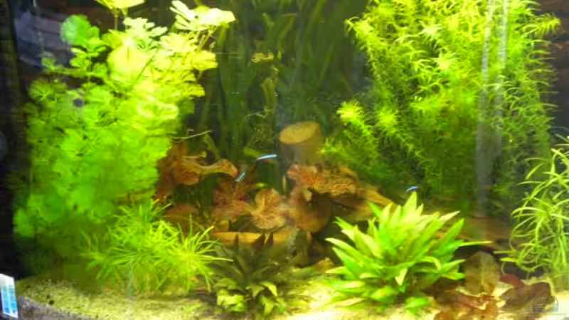 Aquarium Hagisworld von Matthias Hage (3)