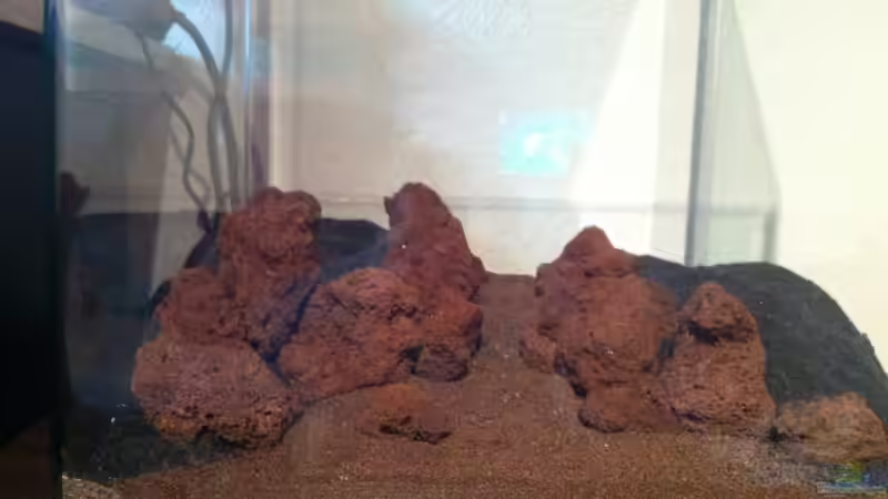 Aquarium Haranni von Tipfen (2)