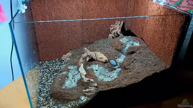 Aquarium Hardangervidda von Junglist (7)