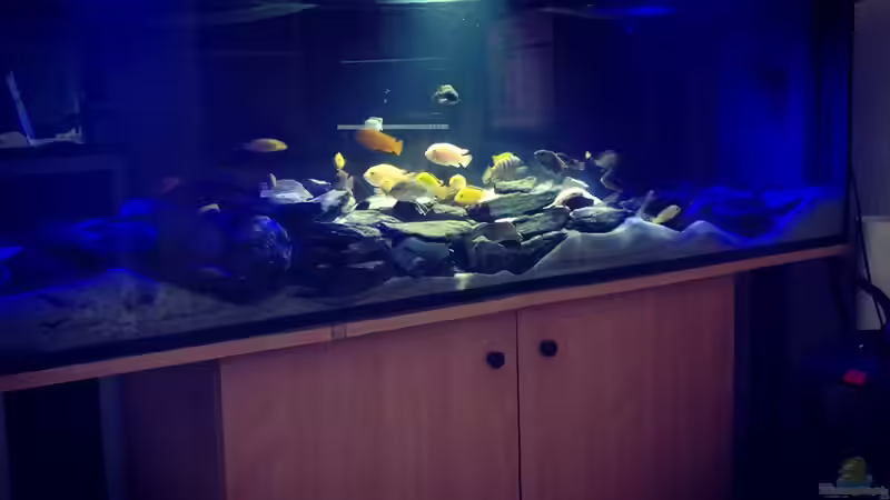 Aquarium Hauptansicht  von Frank