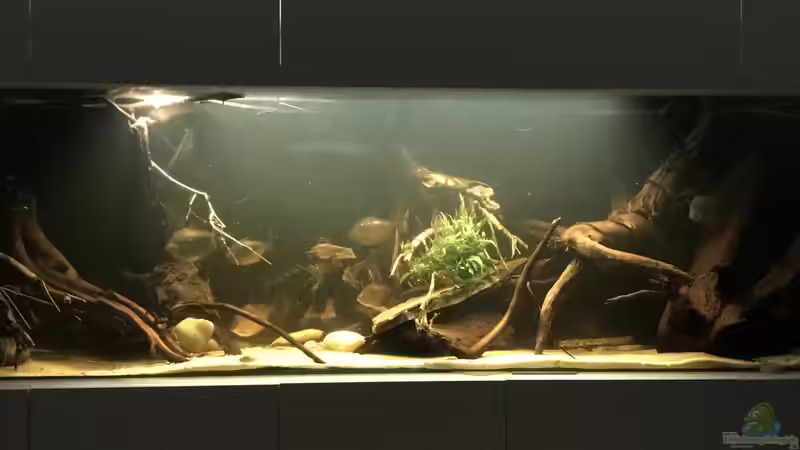 Aquarium Hauptansicht  von JanH (1)