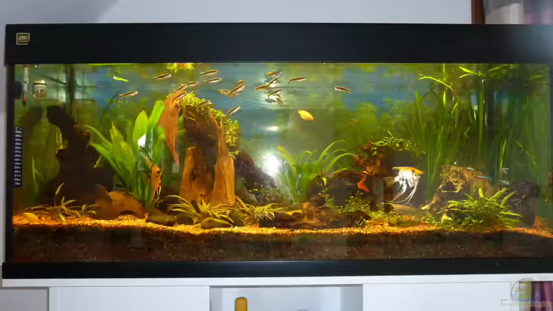 Aquarium Hauptansicht  von steff3458 (1)