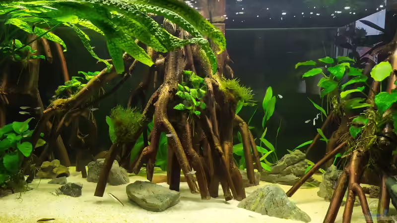 Aquarium Hauptansicht 