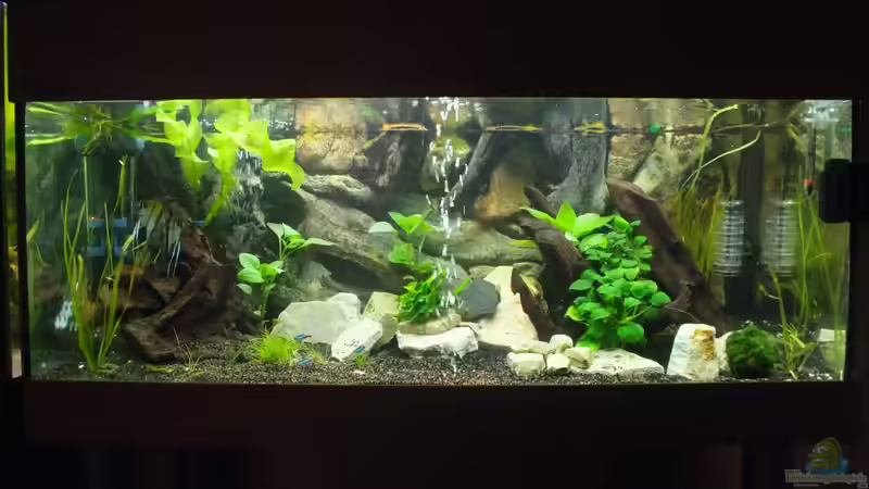 Aquarium Hauptansicht von 160 Liter von Stony (1)