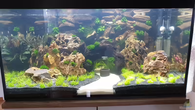 Aquarium Hauptansicht von 1st Scape von Björn Wanjelik (1)
