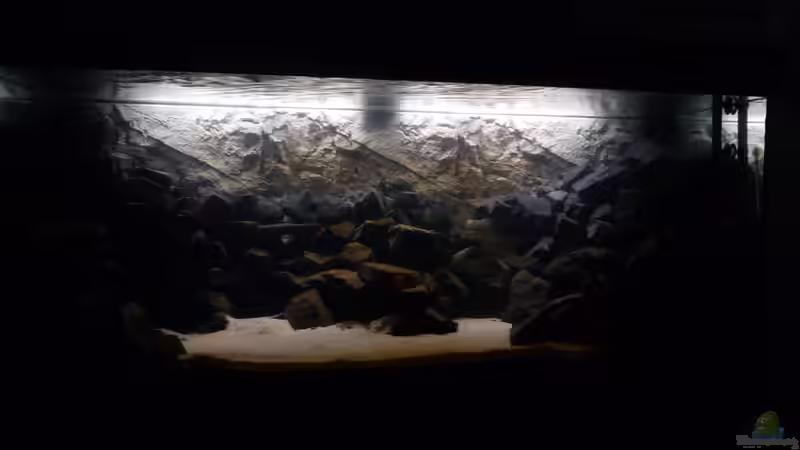 Aquarium Hauptansicht von 540l Mbuna