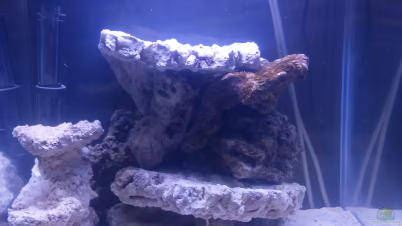 Aquarium Hauptansicht von 64er Cube von blueeys21 (1)