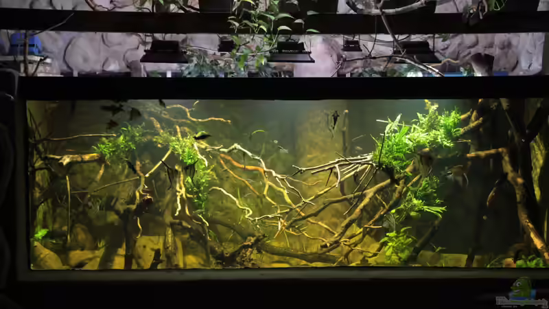 Aquarium Hauptansicht von 8.000L von Kurt Osterhoff (1)