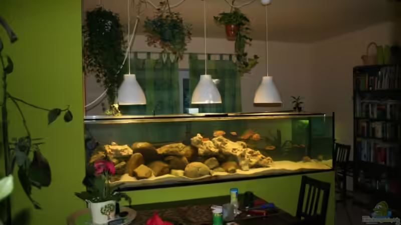 Aquarium Hauptansicht von 900l Malawi Raumteiler von roybaer (1)