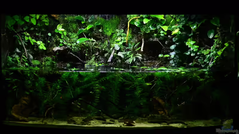 Aquarium Hauptansicht von African Falls