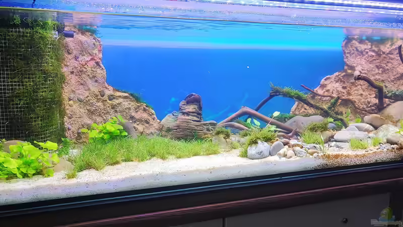 Aquarium Hauptansicht von Aliran von bergfrau (8)
