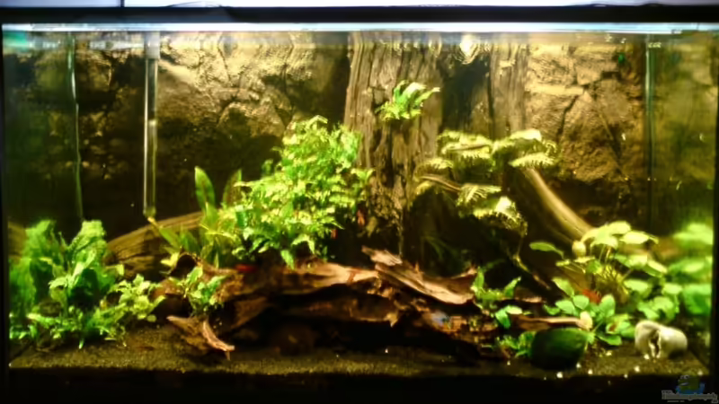 Aquarium Hauptansicht von Alles meins