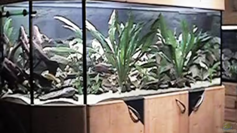 Aquarium Hauptansicht von Altes Aquarium aus 2002 von Thomas Schindler (1)