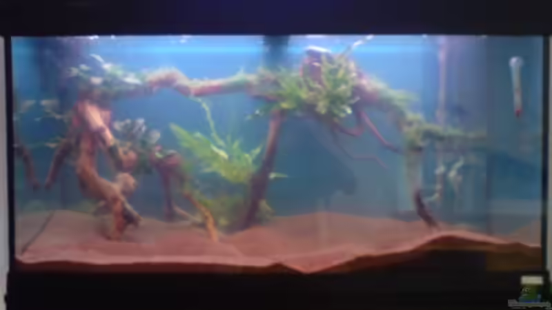 Aquarium Hauptansicht von Amazonien