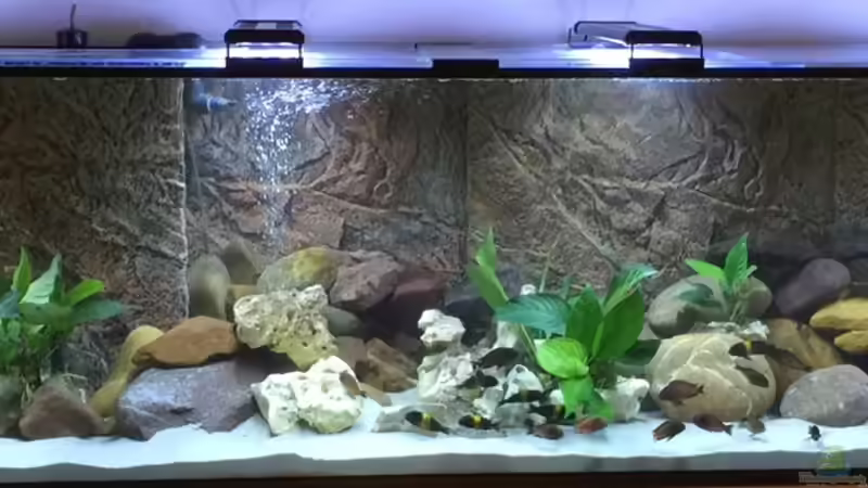 Aquarium Hauptansicht von AQ Keller