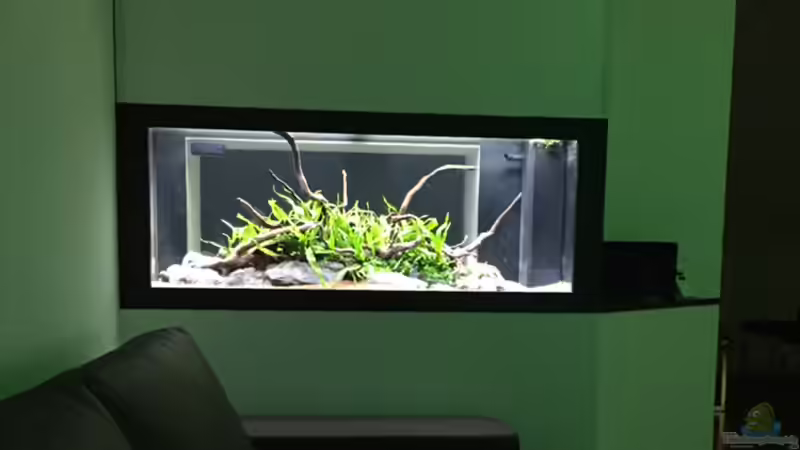 Aquarium Hauptansicht von Aquarium Projekt von Der Schreiner (1)