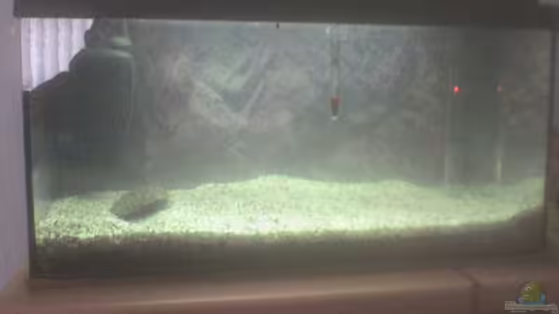 Aquarium Hauptansicht von aquastar 60 von Manuel Hupertz