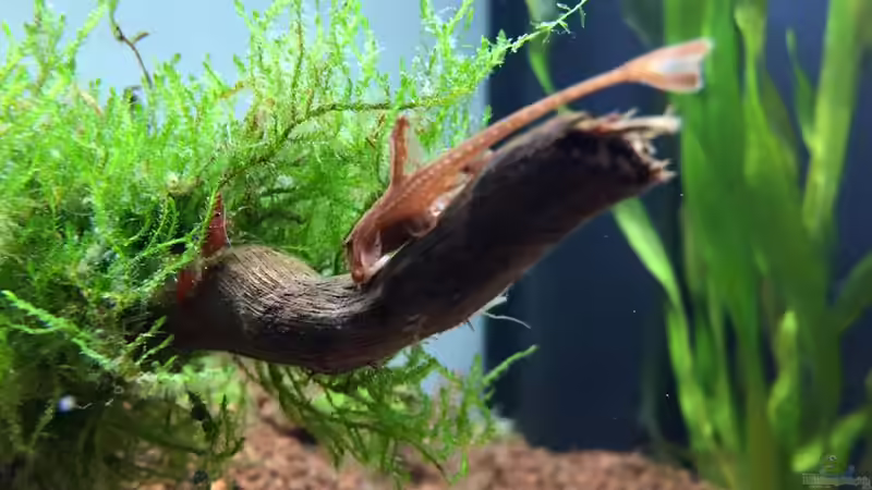 Aquarium Hauptansicht von aquatlantis von kirly (1)