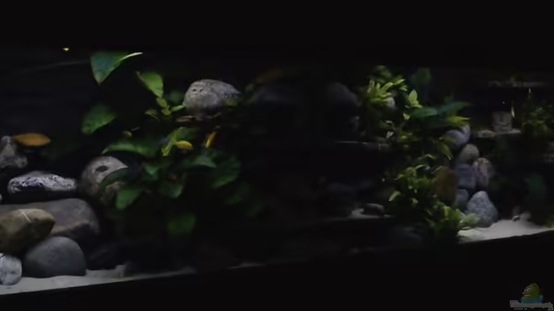 Aquarium Hauptansicht von Atlantis von LaEy (1)