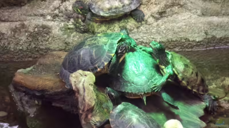 Aquarium Hauptansicht von auf ein neues von Michael Geigel