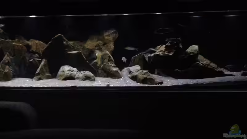 Aquarium Hauptansicht von aufgelöst ....the_HEART_of_ AFRICA..... von Swenni (1)