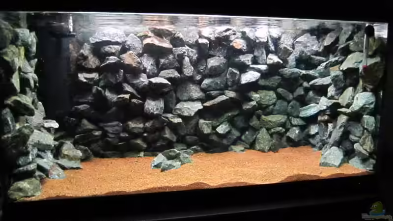 Aquarium Hauptansicht von Baby Home Malawi