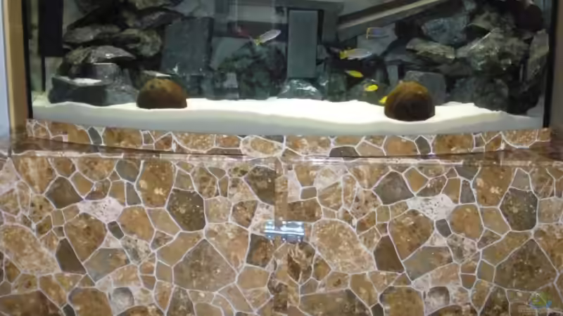 Aquarium Hauptansicht von Bandits Malawi von Bandit2006 (1)