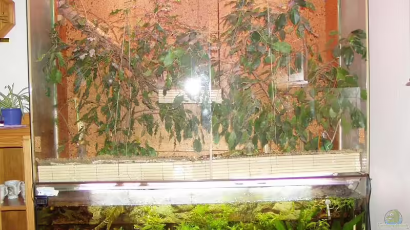 Aquarium Hauptansicht von Becken 1006 von Hardy Kullmann (1)