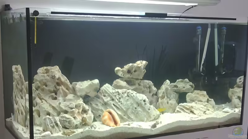 Aquarium Hauptansicht von Becken 10065 von Christoph Hofmann